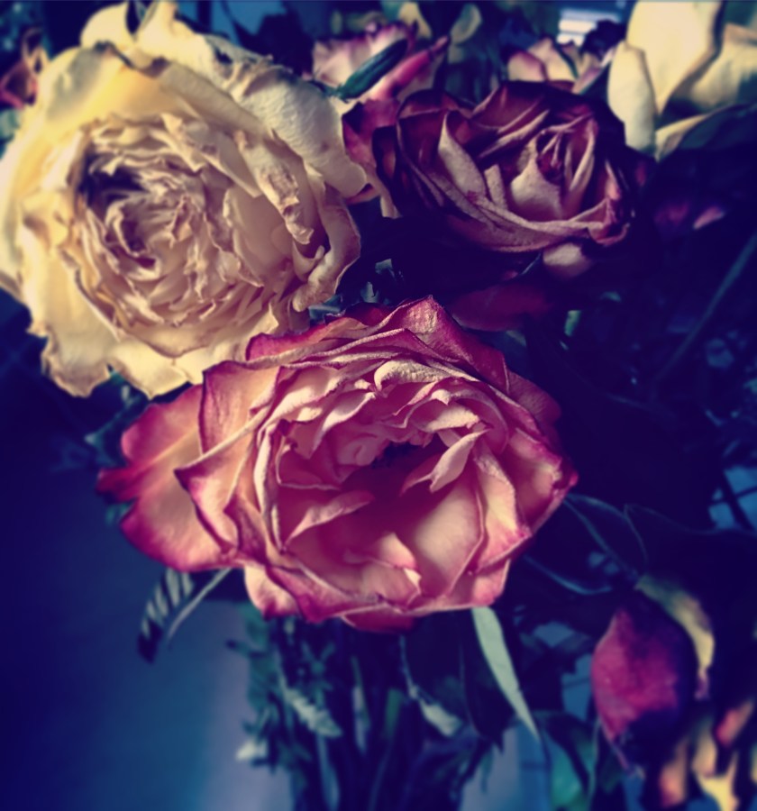 0A3797B0-C827-46E2-AB75-EEFF49C8AAF2